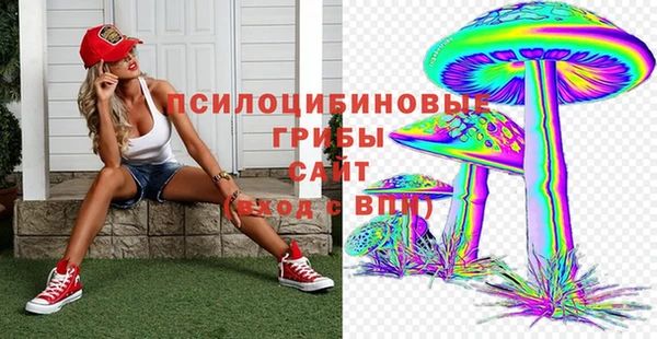 ALPHA PVP Алексеевка