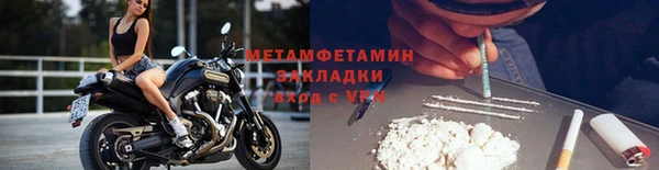 шишки Заволжье