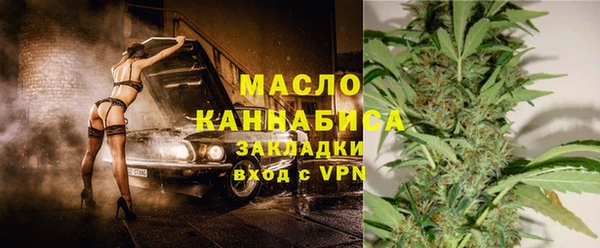 СК Алексин