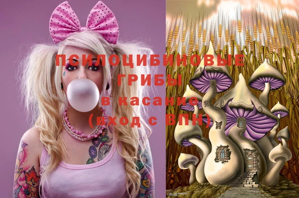 СК Алексин