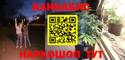 крисы Аргун