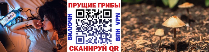 Псилоцибиновые грибы мухоморы  Апшеронск 