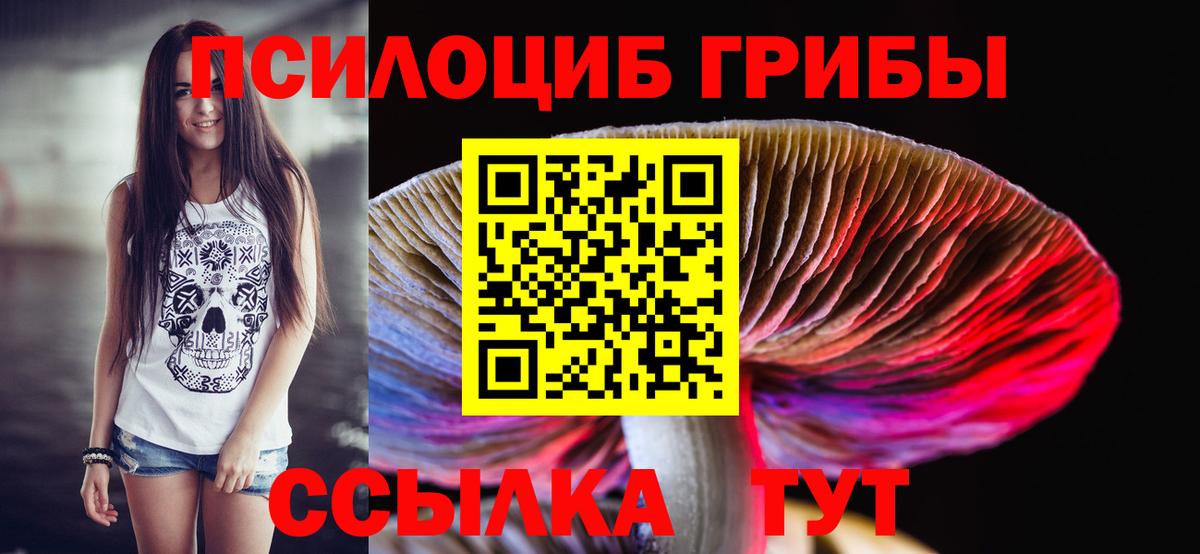 наркота  Псилоцибиновые грибы ЛСД  Апшеронск  Вход с VPN  Галлюциногенные грибы Magic Shrooms 